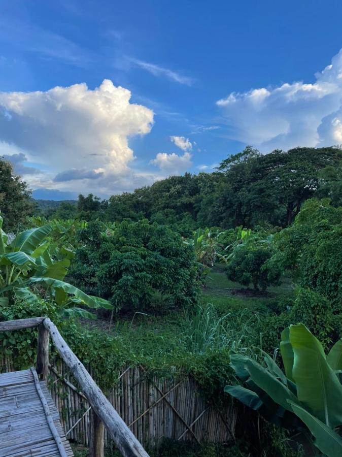 Chiang Dao Hostel מראה חיצוני תמונה