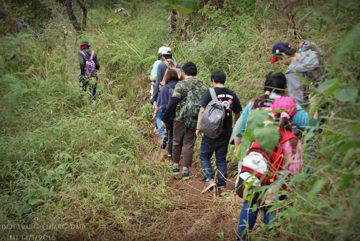 Chiang Dao Hostel מראה חיצוני תמונה