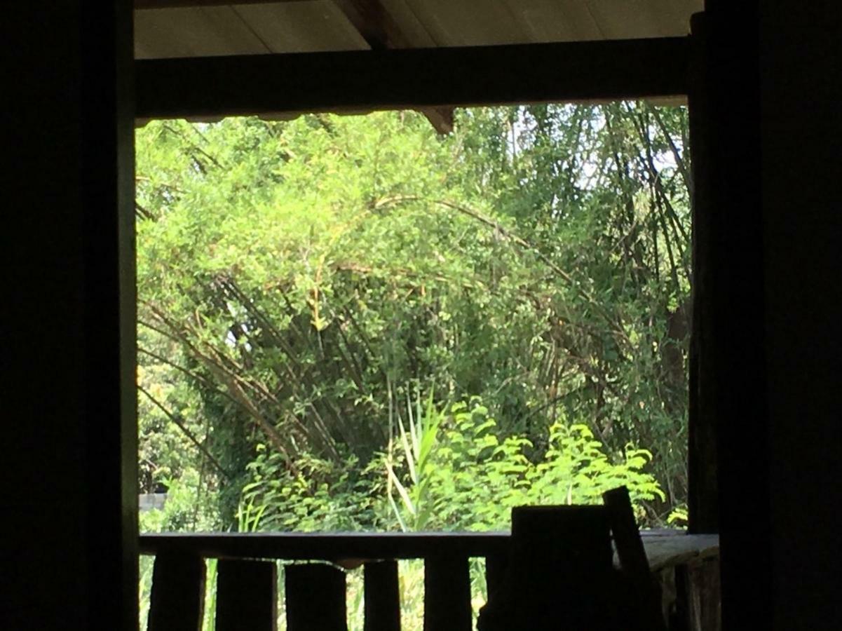 Chiang Dao Hostel מראה חיצוני תמונה